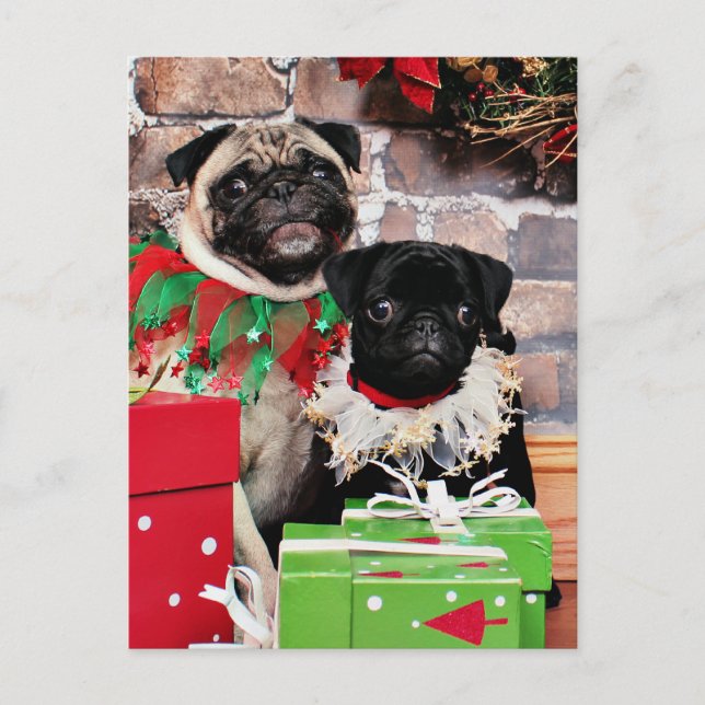Cartes Pour Fêtes Annuelles Noël - Carlin - Daisy Mae et Lily Lou (Devant)