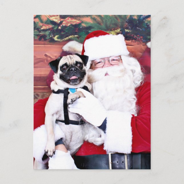 Cartes Pour Fêtes Annuelles Noël - carlin - Harvey (Devant)