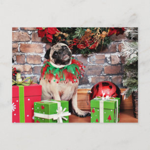 Cartes Pour Fêtes Annuelles Noël - Carlin - Lily Lou