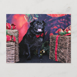 Cartes Pour Fêtes Annuelles Noël - Carlin - Little Moe