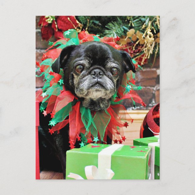 Cartes Pour Fêtes Annuelles Noël - Carlin - Michaelis (Devant)