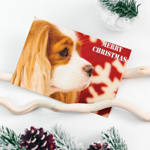 Cartes Pour Fêtes Annuelles Noël Cavalier King Charles Snowflake