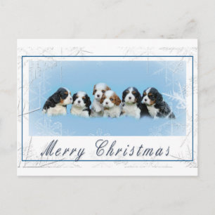 Cartes Pour Fêtes Annuelles Noël Cavalier King Charles Spaniel