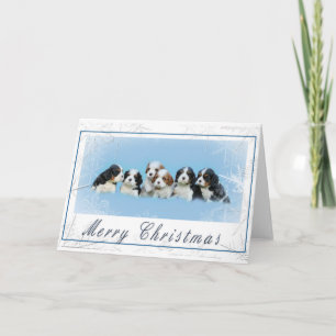 Cartes Pour Fêtes Annuelles Noël Cavalier King Charles Spaniel
