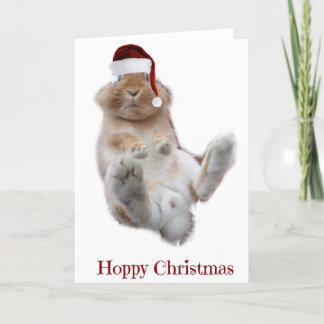 Cartes Pour Fêtes Annuelles Noël chanceux