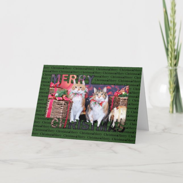 Cartes Pour Fêtes Annuelles Noël - chat - beurre et porcin (Devant)