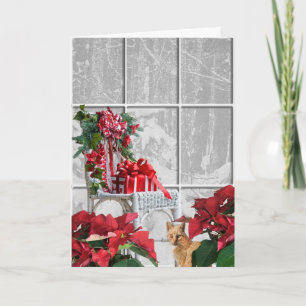 Cartes Pour Fêtes Annuelles Noël Chat par chaise et fenêtre