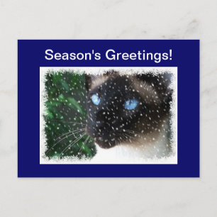 Cartes Pour Fêtes Annuelles Noël Chat Siamois