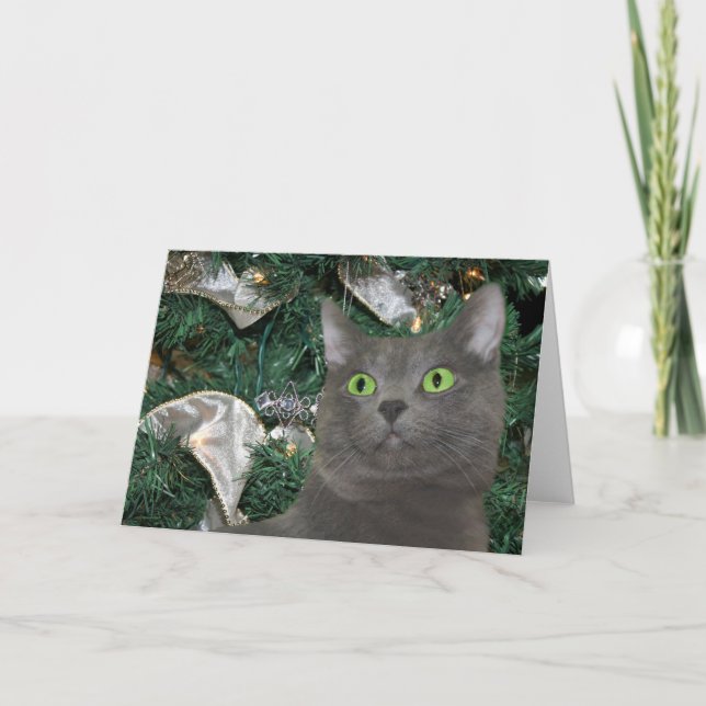 Cartes Pour Fêtes Annuelles Noël chaton gris (Devant)