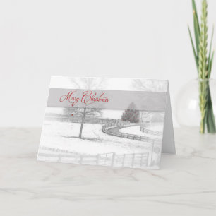 Cartes Pour Fêtes Annuelles Noël - Cheval Ranch-Hiver/Neige