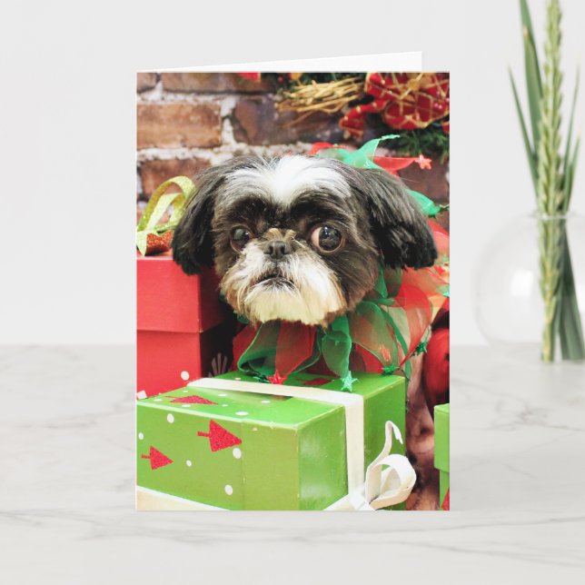 Cartes Pour Fêtes Annuelles Noël - Chih Tzu - Yogi (Devant)