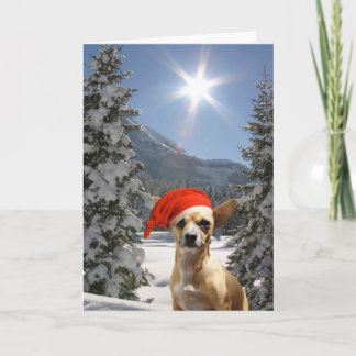 Cartes Pour Fêtes Annuelles Noël Chihuahua