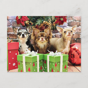 Cartes Pour Fêtes Annuelles Noël - Chihuahua - Bleu - Précieux - Yogi