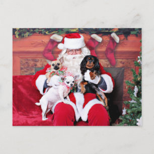 Cartes Pour Fêtes Annuelles Noël - Chihuahuas et Cavalier