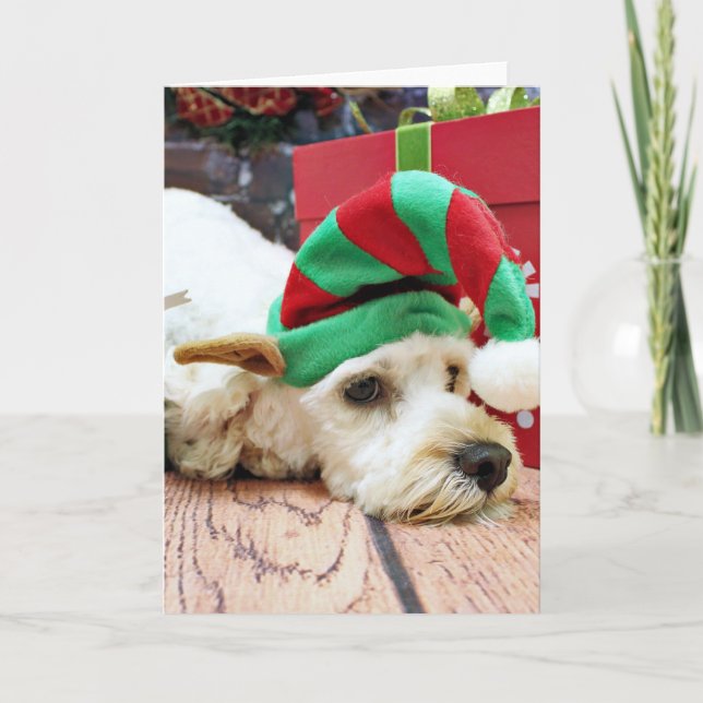 Cartes Pour Fêtes Annuelles Noël - Cockapoo - KC (Devant)