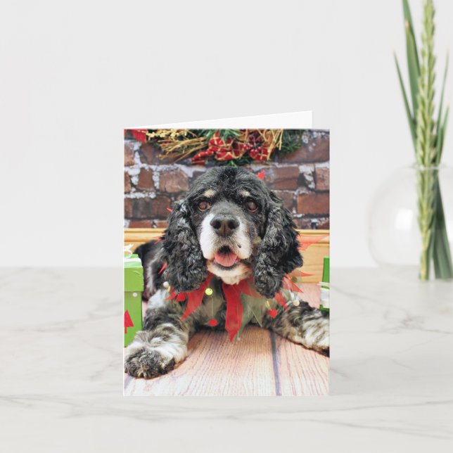 Cartes Pour Fêtes Annuelles Noël - cocker - Harley (Devant)