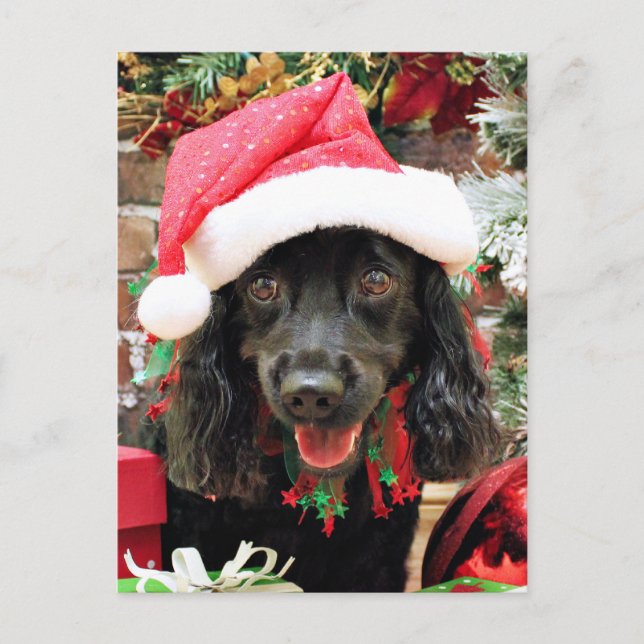 Cartes Pour Fêtes Annuelles Noël - Cocker Spaniel X - Poivre (Devant)