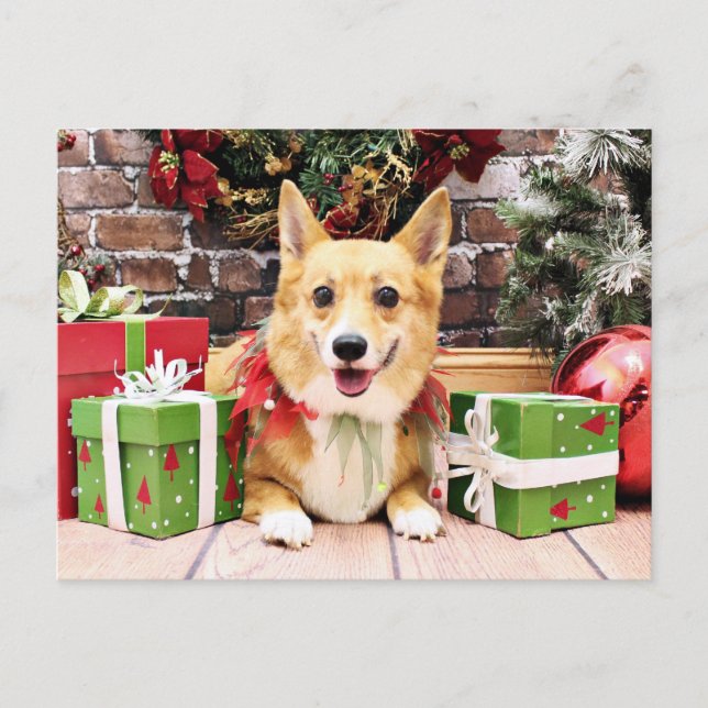 Cartes Pour Fêtes Annuelles Noël - Corgi - Pancake (Devant)