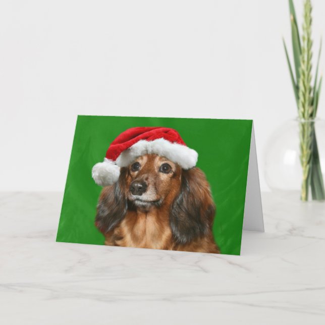 Cartes Pour Fêtes Annuelles Noël Dachshund (Devant)
