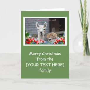 Cartes Pour Fêtes Annuelles Noël d'Alpaca