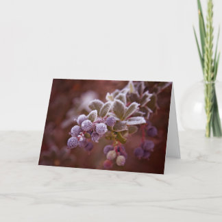 Cartes Pour Fêtes Annuelles Noël de baie