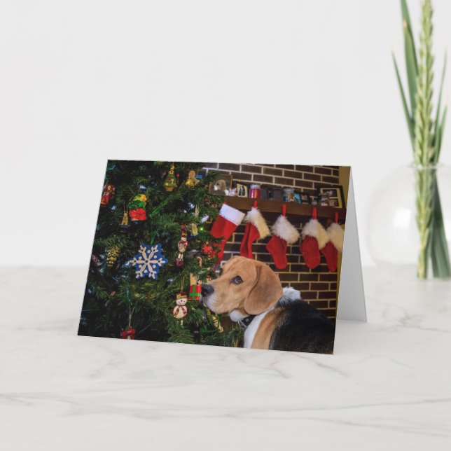 Cartes Pour Fêtes Annuelles Noël de beagle (Devant)