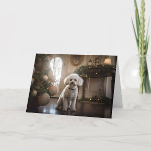 Cartes Pour Fêtes Annuelles Noël de Bichon