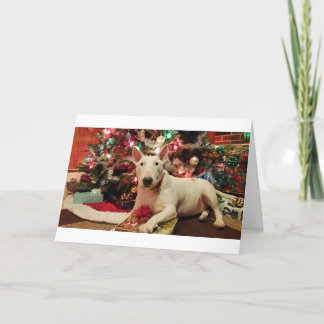 Cartes Pour Fêtes Annuelles noël de bull terrier