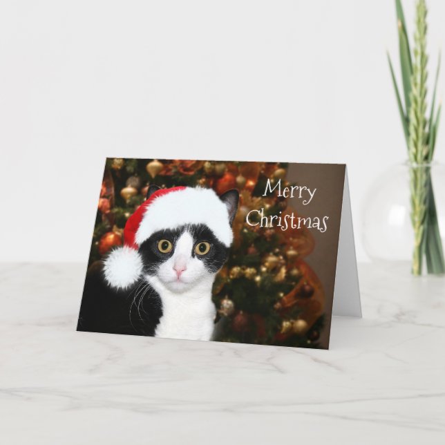 Cartes Pour Fêtes Annuelles Noël de chat de smoking (Devant)