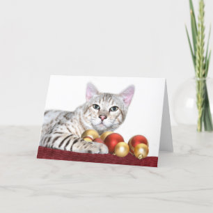 Cartes Pour Fêtes Annuelles Noël de chat du Bengale