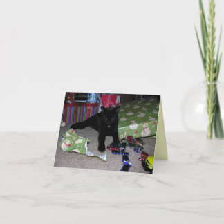 Cartes Pour Fêtes Annuelles Noël de chaton