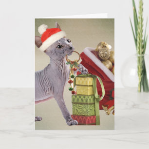 Cartes Pour Fêtes Annuelles Noël de chaton de Sphynx