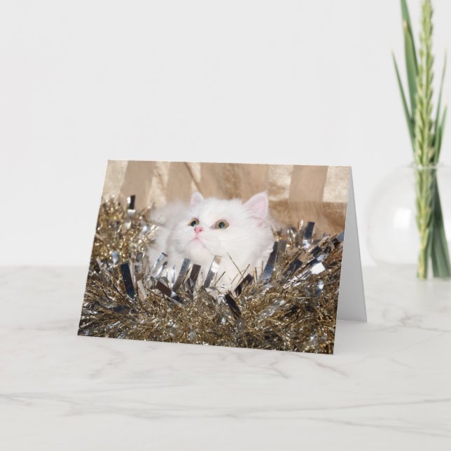 Cartes Pour Fêtes Annuelles Noël de chaton perse blanc (Devant)