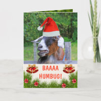 Noël de chèvre grincheuse
