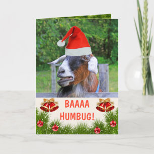 Cartes Pour Fêtes Annuelles Noël de chèvre grincheuse