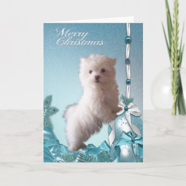Cartes Pour Fêtes Annuelles Noël de Chien Chien Chien Chien Maltais (Devant)