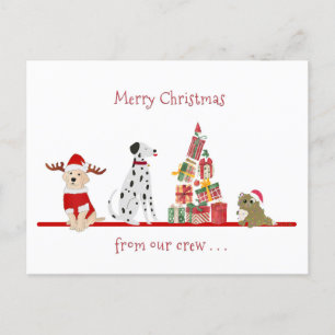 Cartes Pour Fêtes Annuelles Noël de chiens et chats avec un arbre cadeau