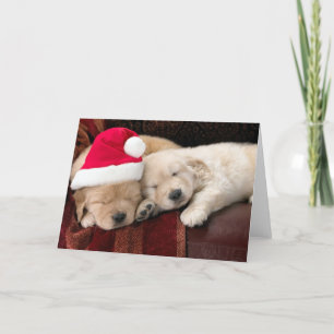 Cartes Pour Fêtes Annuelles Noël de chiot