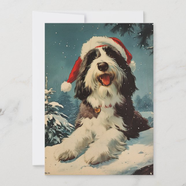 Cartes Pour Fêtes Annuelles Noël de Collie barrée (Devant)