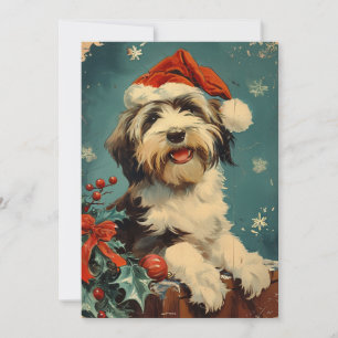 Cartes Pour Fêtes Annuelles Noël de Collie barrée