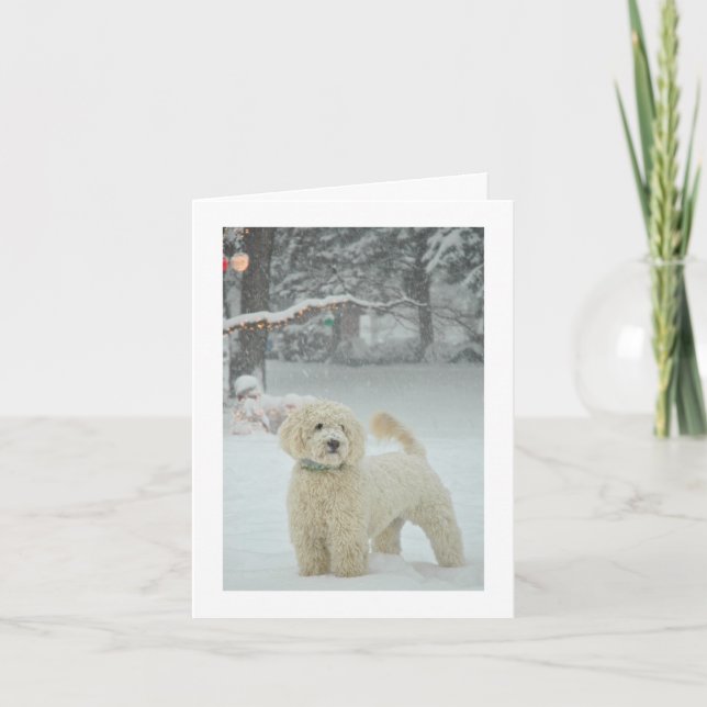 Cartes Pour Fêtes Annuelles Noël de Goldendoodle (Devant)