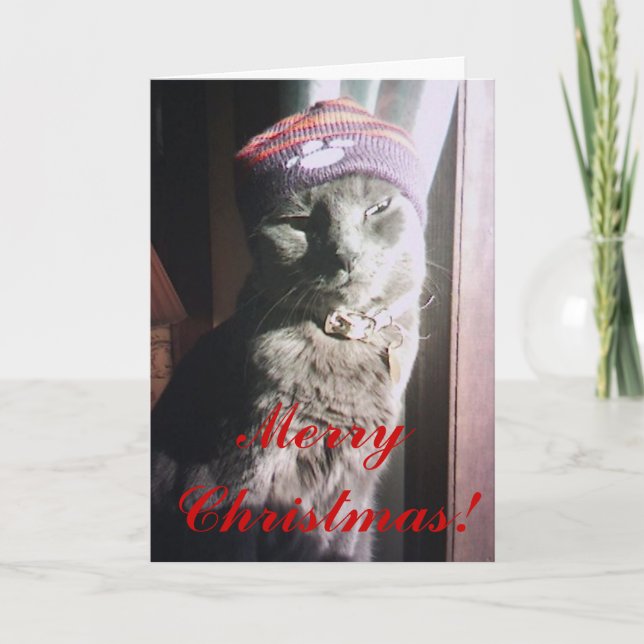 Cartes Pour Fêtes Annuelles Noël de Kitty (Devant)