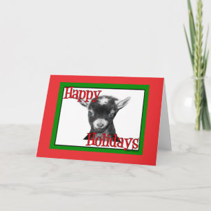 Cartes Pour Fêtes Annuelles Noël de la chèvre de Pygora