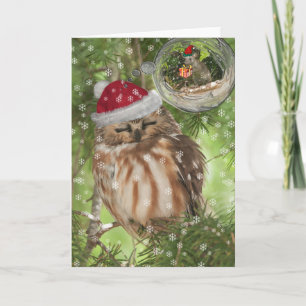 Cartes Pour Fêtes Annuelles Noël de la Chouette du Nord