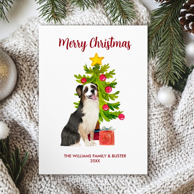 Cartes Pour Fêtes Annuelles Noël de la famille des chiens bergers australiens (Créateur téléchargé)