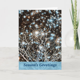 Cartes Pour Fêtes Annuelles Noël de la grappe étoilée et de l'arbre blanc