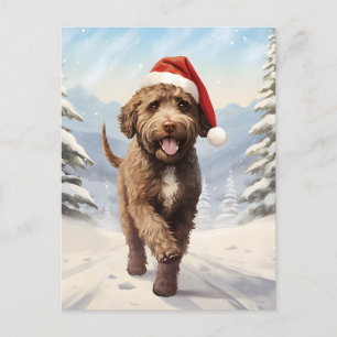 Cartes Pour Fêtes Annuelles Noël de Lagotto Romagnolo