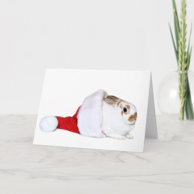 Cartes Pour Fêtes Annuelles Noël de lapin (Devant)