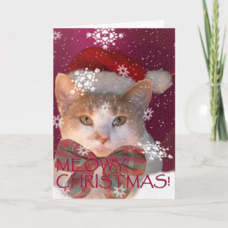 Cartes Pour Fêtes Annuelles Noël de Meowy !