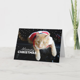 Cartes Pour Fêtes Annuelles Noël de Meowy